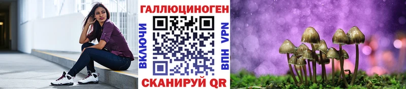 Псилоцибиновые грибы MAGIC MUSHROOMS  где купить наркотик  Берёзовка 