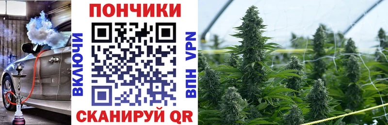 Бошки Шишки план  Берёзовка 